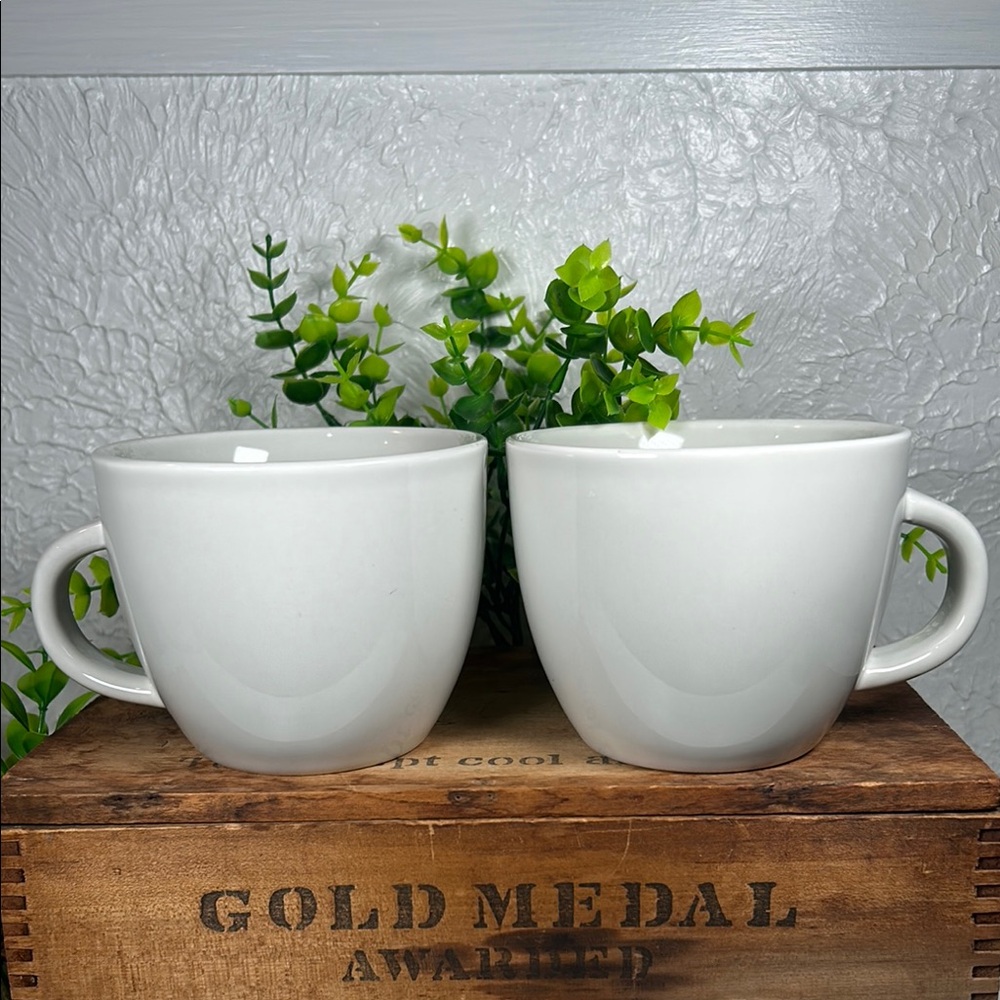 Project 62 Stoneware Mugs Light Grey Color 16oz Set of 2 Coffee Tea Soup Snacks